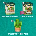 AMZ-Flora-Unboxing-v3.webp