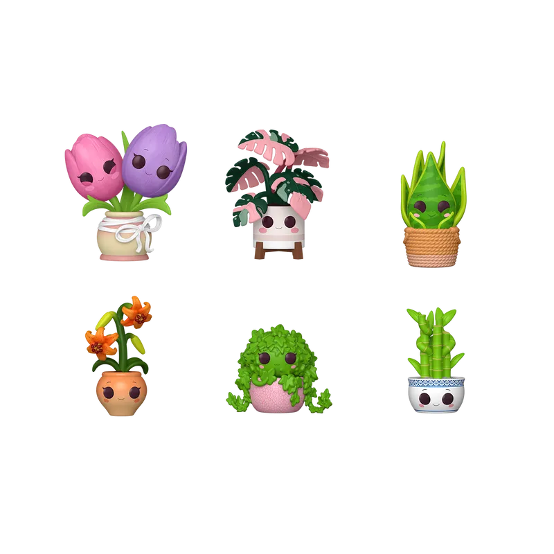 96241_POPMystery_PLANTS_FrontView_6pcWEB.webp